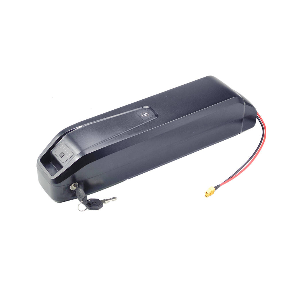 New S20 Pro 48V 13Ah 20Ah Hail - đánh giá và giá Ebike Battery 48V 20Ah Hailong